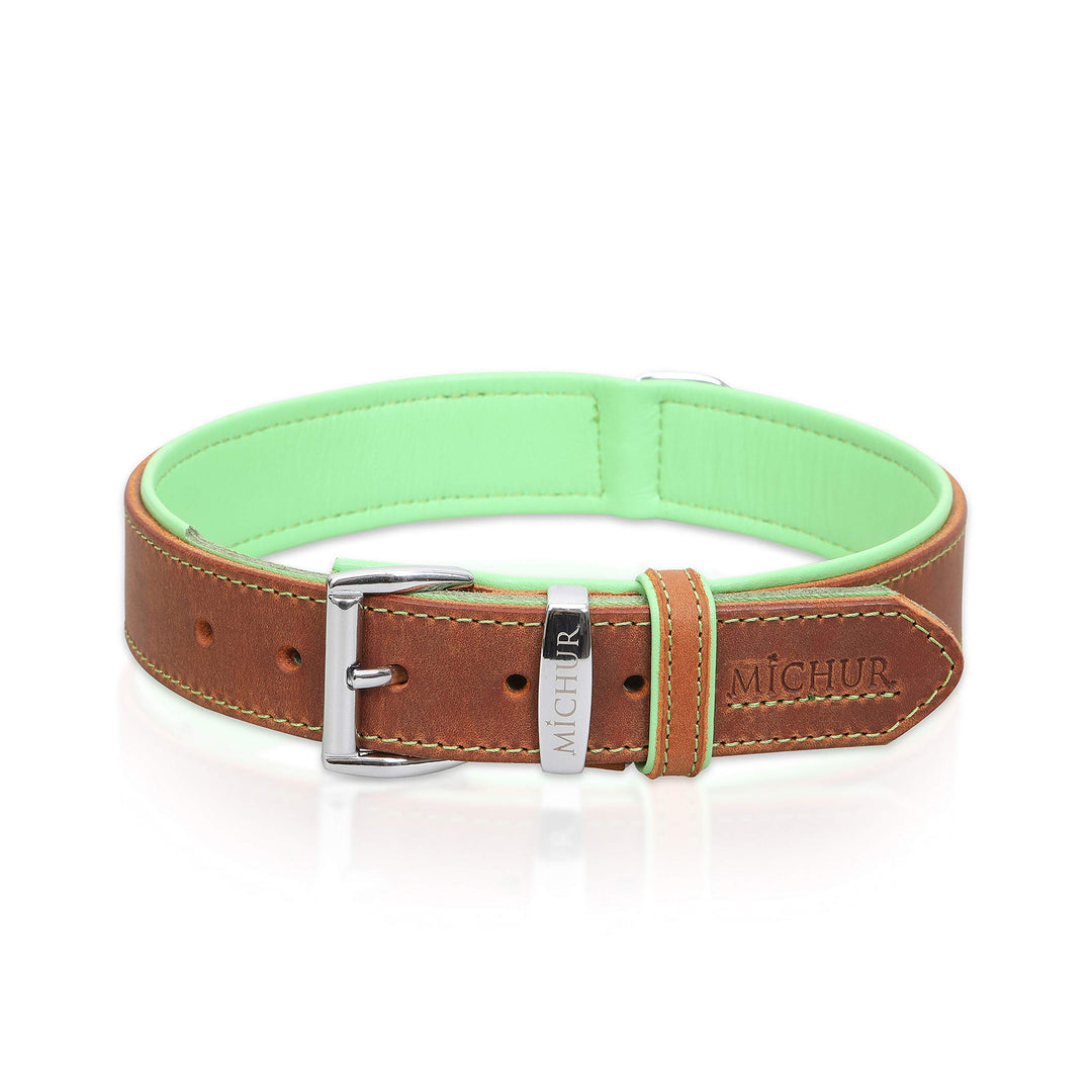 MICHUR Charly Hundehalsband Leder Braun Grün, Lederhalsband Hund, Halsband, Leder, in verschiedenen