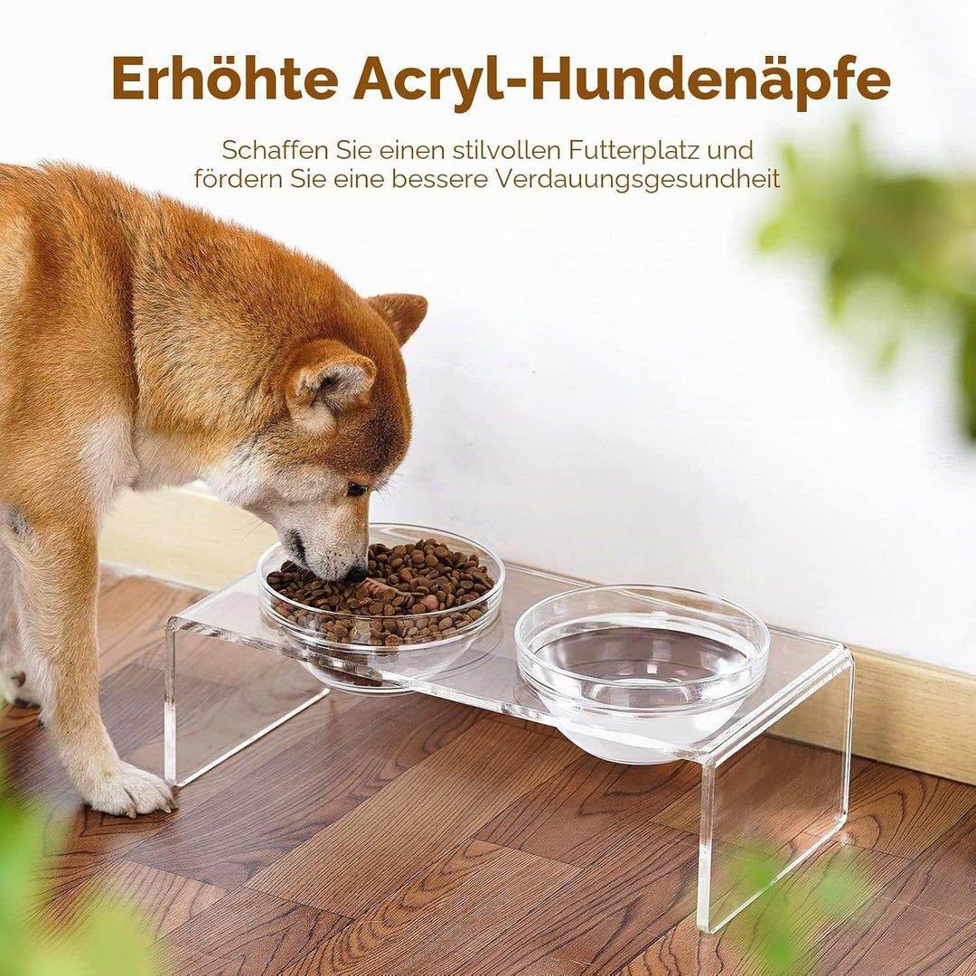 Erhöhter Futternapf für Hunde und Katzen, aus Acryl, mit 2 abnehmbaren Glasnäpfen und 2 Edelstahlnäp