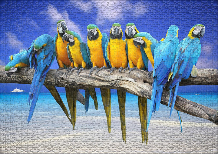 Ulmer Puzzleschmiede - Puzzle „Ausflug ans Meer“– Klassisches 1000 Teile Puzzle – Papagei-Motiv vor