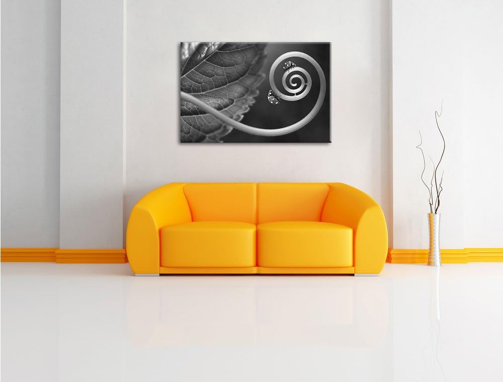 Pixxprint Zwei Marienkäfer auf einem Stängel als Leinwandbild/Grösse: 100x70 / Wandbild/Kunstdruck/f