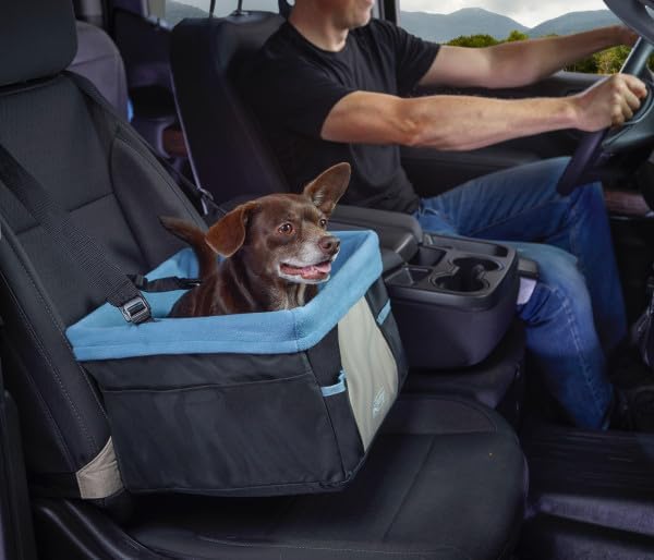 Kurgo Rover Hunde-Autositz, Inklusive Autogurt, Einfache Montage, Für Hunde bis zu 9 kg empfohlen, S