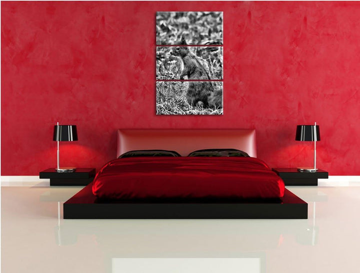 Pixxprint Monocrome, kleines Eichhörnchen auf Waldboden 3-Teiler Leinwandbild 120x80 Bild auf Leinwa