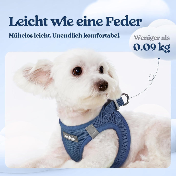 rabbitgoo Hundegeschirr Kleine Hunde mit Leine, Step-in Welpengeschirr Weich Mesh für Spaziergänge,