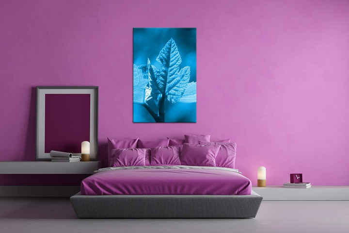 deyoli frischer Sprössling Format 80x60 Effekt: Monocrome Blau als Leinwandbild, Motiv fertig gerahm
