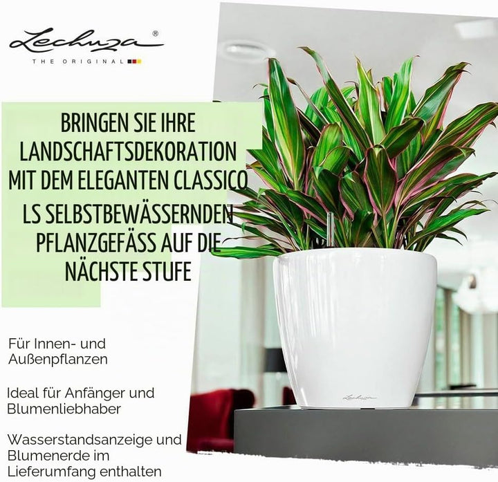 LECHUZA CLASSICO Premium LS 43 anthrazit metallic 16083 43.5x43.5x39.5 cm Anthrazit Metallic Einzel,