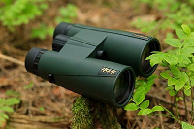 Delta Forest II Fernglas, 8 cm x 42 cm, Grün