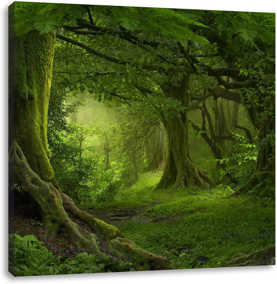 Pixxprint Dschungel im tropischen Regenwald, Format: 70x70 auf Leinwand, 70x70