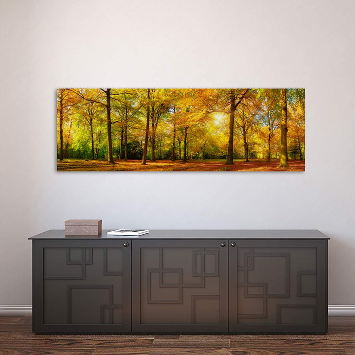 Feeby Bilder Wald Baum XXL100x40 cm 1Teilig Wohnzimmer Schlafzimmer Bilder Wandbilder Modern Leinwan