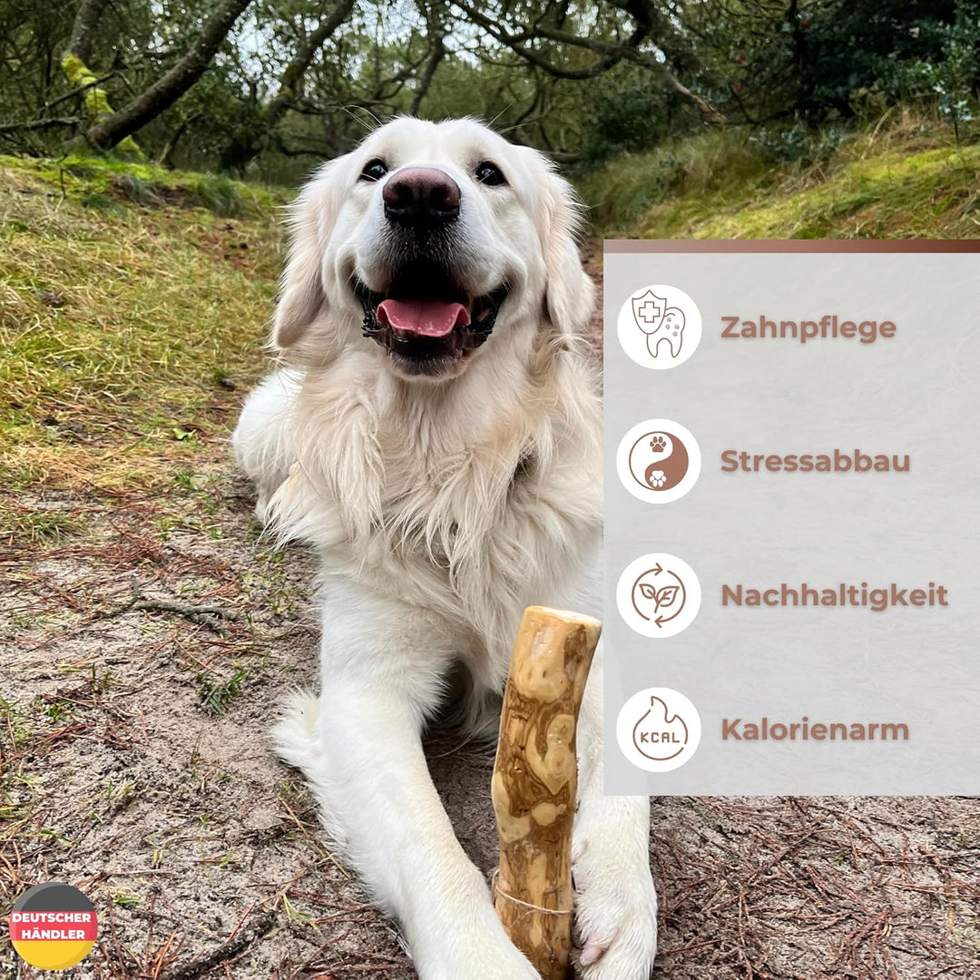 Zoys® Kaffeeholz für Hunde - Natürlicher Kauknochen für Hunde in 5 Grössen - Kaustab für Zahnreinigu