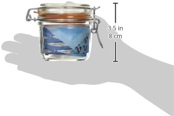 Le Parfait Swift Einmachglas mit Clipverschluss 200 g