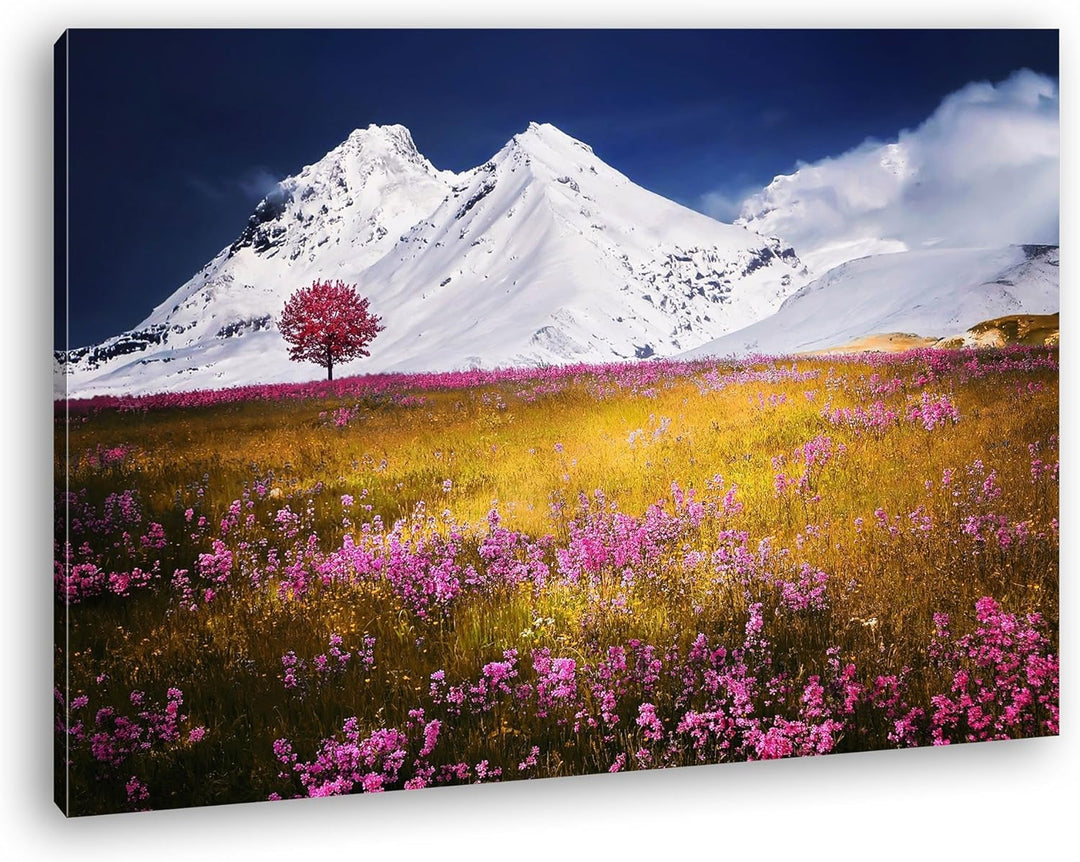 verführerisches Wiese vor denn eisigen Alpen Format: 100x70 als Leinwand, Motiv fertig gerahmt auf E