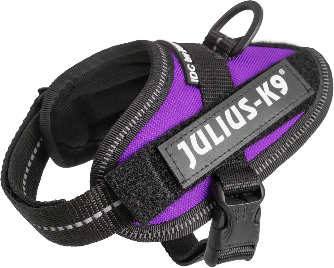 Julius-K9, IDC Powergeschirr, Grösse: 3XS/Baby 1, Dunkelviolett