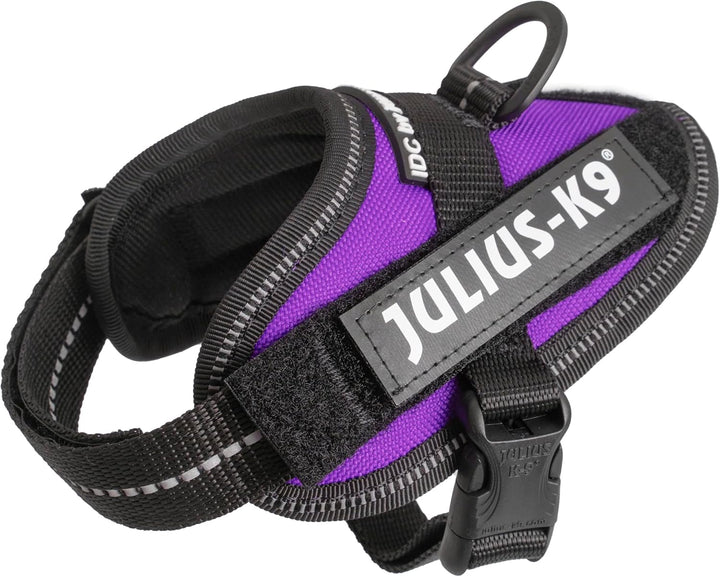 Julius-K9, IDC Powergeschirr, Grösse: 3XS/Baby 1, Dunkelviolett