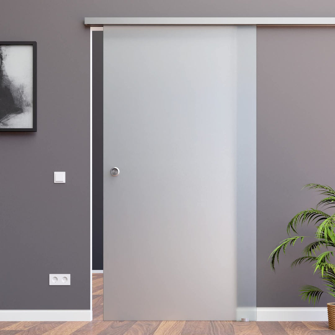 BS-900D-ASE: Schiebetürsystem ESG 900x2050x8mm Dekor S, vollsatiniert; Schienensystem ALU SlimLine S