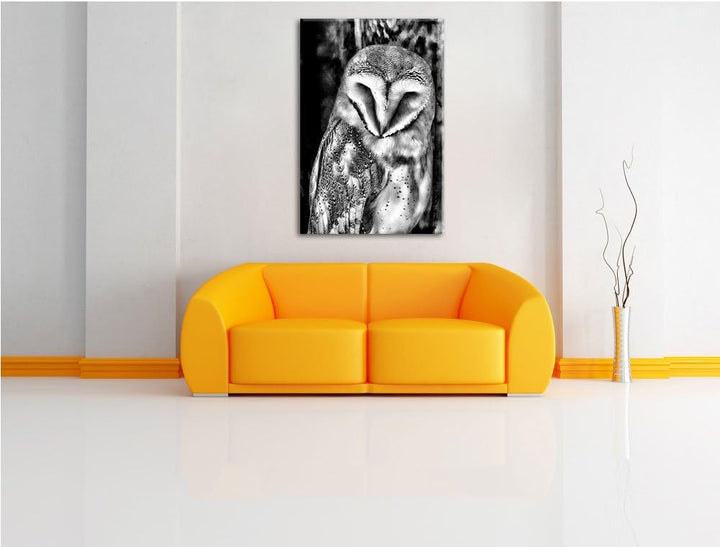 Monocrome, Schleiereule, Format: 100x70 auf Leinwand, XXL riesige Bilder fertig gerahmt mit Keilrahm