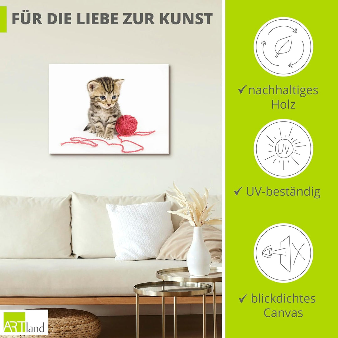 ARTland Leinwandbilder Wandbild Bild auf Leinwand 80x60 cm Katze Tiere Babykatze Haustiere Süss Mädc