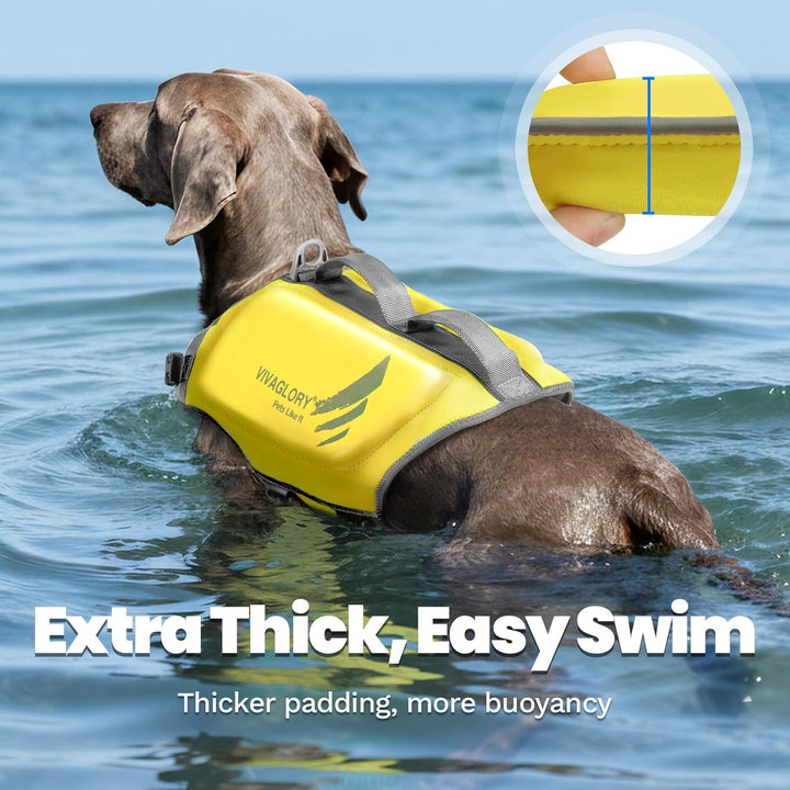 VIVAGLORY Leichte Rettungsweste für Hunde, Haustiere Lebensretter Hautfreundliche Neopren für Grosse