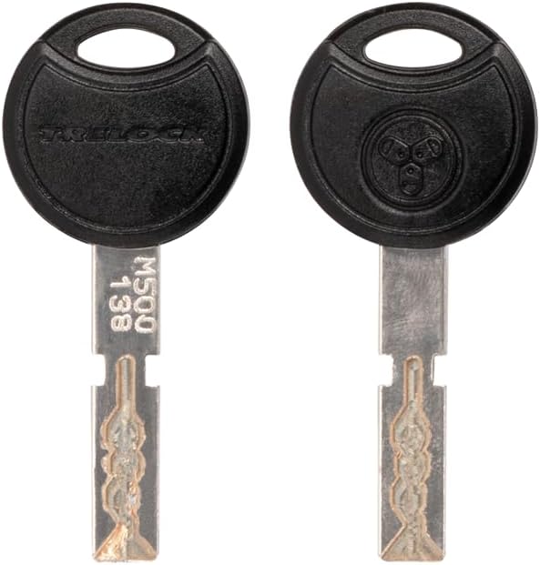 Allegion Netherlands B.V. Unisex – Erwachsene Trelock RS 481 XXL AZ Rahmenschloss, Silber, Einheitsg