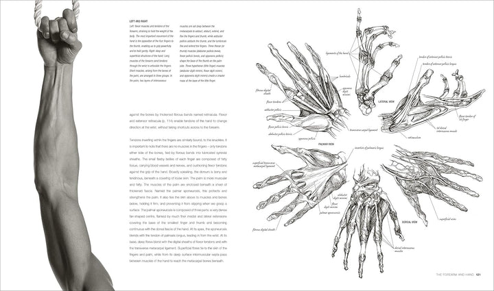 Anatomy for the Artist, Gebundenes Buch
