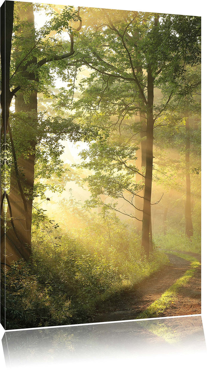 Waldweg im Winter, Format: 100x70 auf Leinwand, XXL riesige Bilder fertig gerahmt mit Keilrahmen, Ku