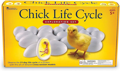 Learning Resources Chick Life Cycle Exploration Set