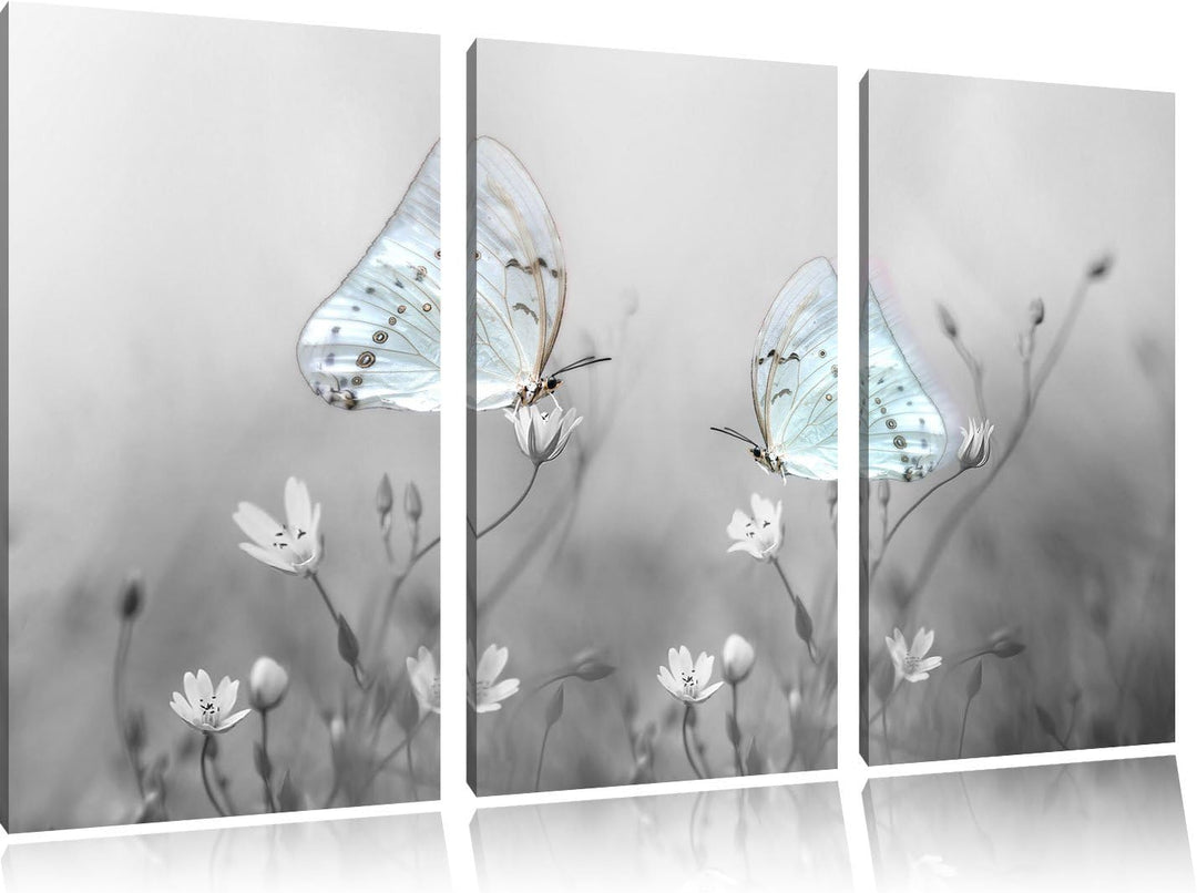 Pixxprint Schmetterling auf kleinen Blumen als Leinwandbild/Grösse: 3 Teilig (120x80 cm) cm/Wandbild
