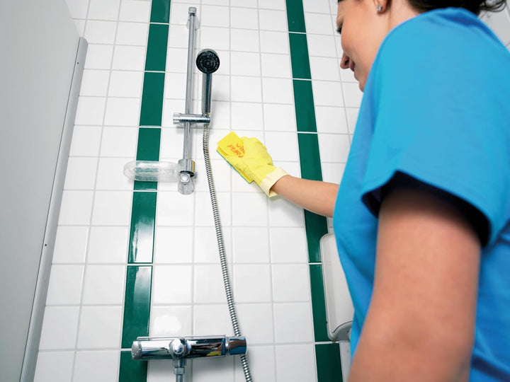 Vileda Professional PUR Active SchwammProfi – Kratzfreier Schwamm grün, 10er Pack, für empfindliche