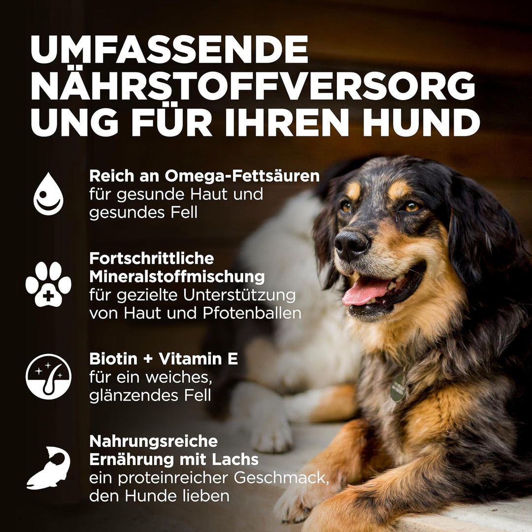 Go! Solutions Skin + Coat Care Getreidehaltige Rezeptur für Hunde Lachs, 1,6-kg-Beutel