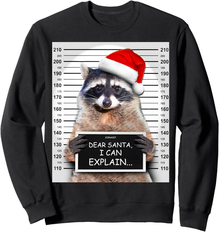 Dear Santa I Can Explain Lustiges Weihnachten Waschbär Sweatshirt