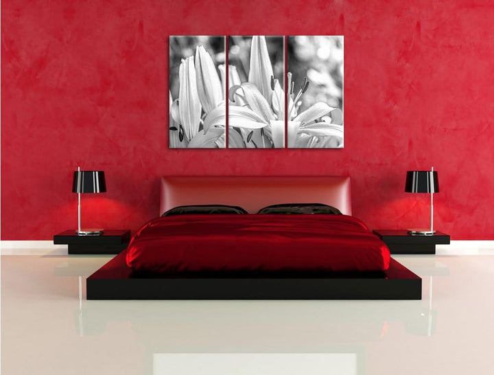 Pixxprint schöne orangene Lilien Kunst B&W als Leinwandbild/Grösse: 3 Teilig (120x80) / Wandbild/Kun