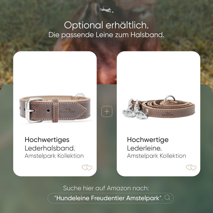 FREUDENTIER Hundehalsband aus zertifiziertem Leder - Inkl. Geschenksäckchen - Gepolstert & super kom