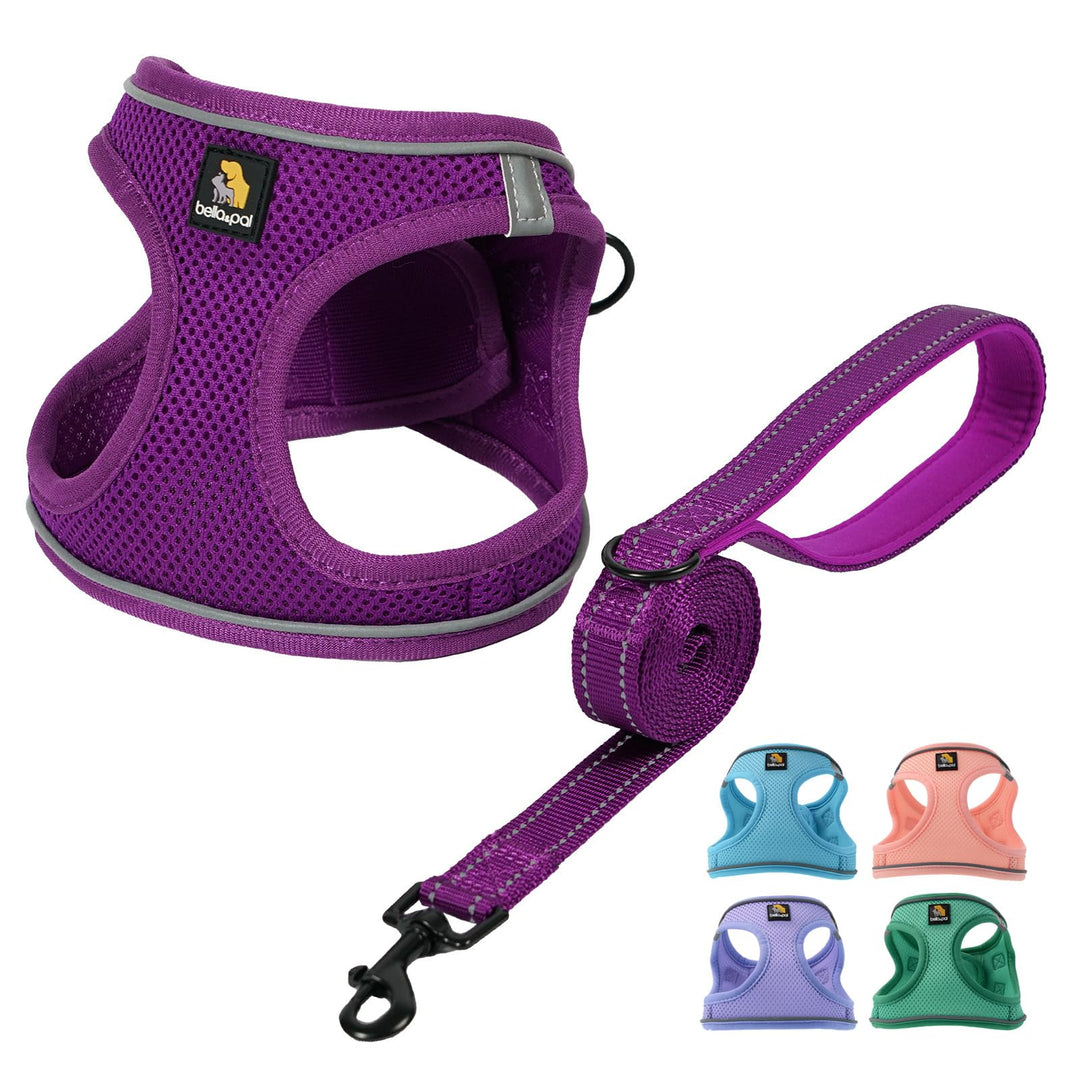 BELLA & PAL Hundegeschirr Kleine Hunde mit Leine, Step-in Geschirr aus Air Mesh, Anti Zug Reflektier