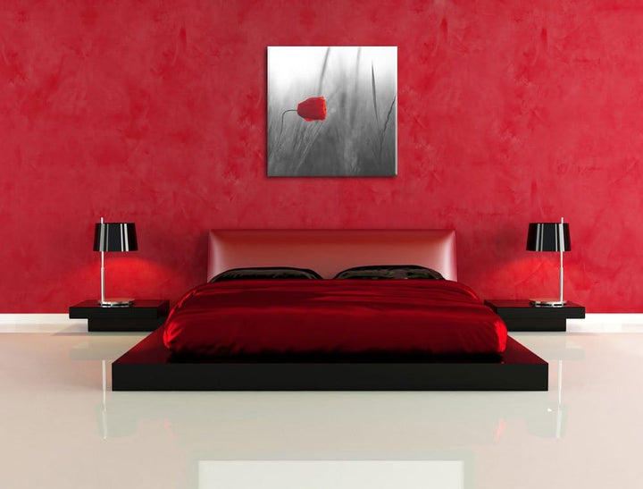 Pixxprint Einzelne rote Rose im Sonnenlicht als Leinwandbild Quadratisch| Grösse: 70x70 | Wandbild|