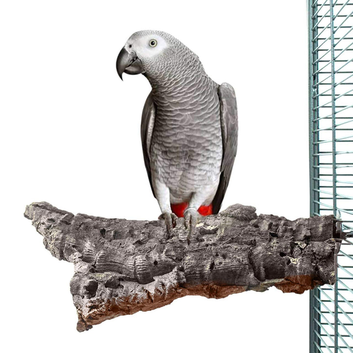 HappyBird | Kork-Sitzbrett XXL für Papageien ca. 25 x 15 cm mit Edelstahlschrauben