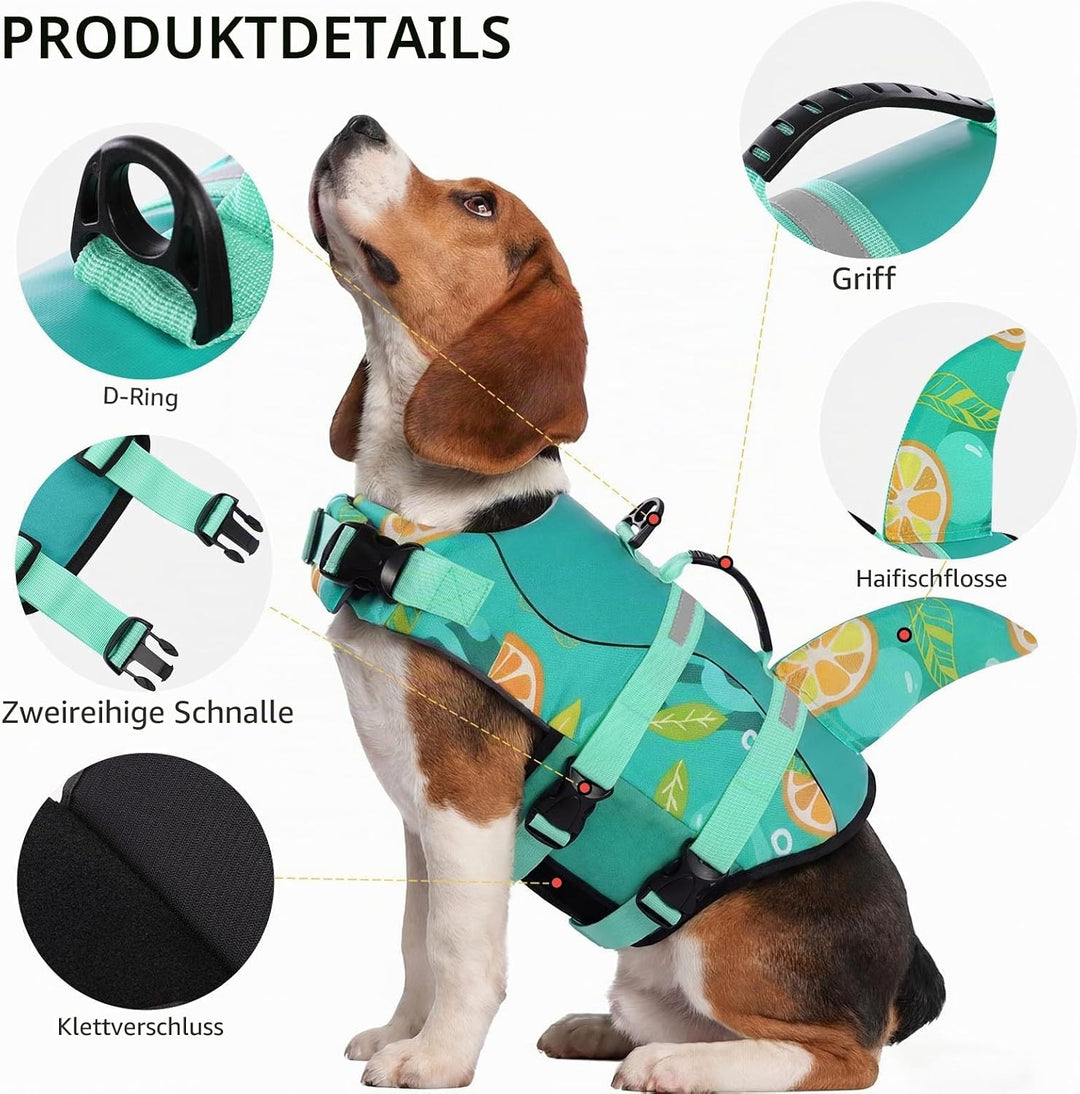CITÉTOILE Schwimmweste Hunde Hai, Leicht und Sicher für Wassersport, hundeschwimmweste mit Griff und