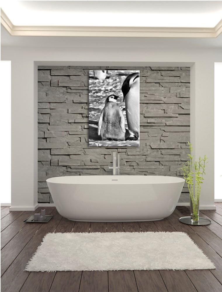 Pixxprint Kaiserpinguin mit Küken / 100x70cm Leinwandbild bespannt auf Holzrahmen/Wandbild Kunstdruc