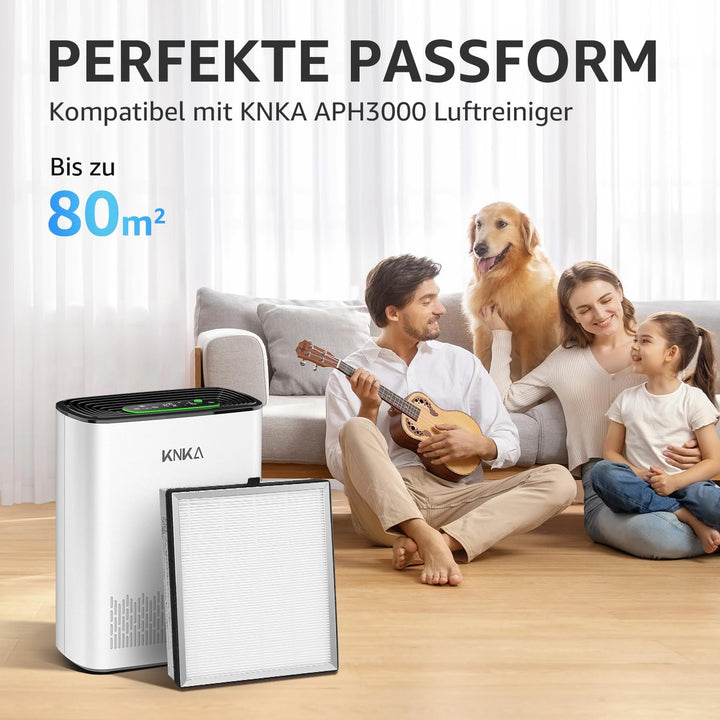 KNKA Ersatzfilter für APH3000 Luftreiniger, 2er Pack HEPA & Aktivkohle Kombifilter, Entfernt 99,97%