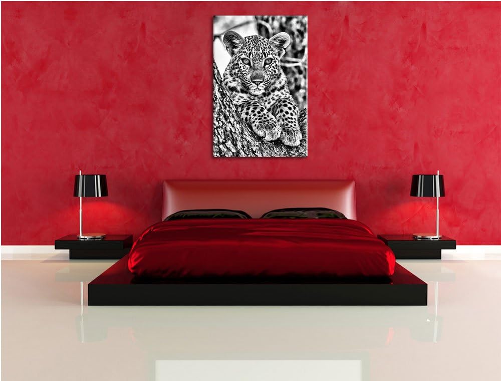 Monocrome, Leopardenbaby, Format: 100x70 auf Leinwand, XXL riesige Bilder fertig gerahmt mit Keilrah