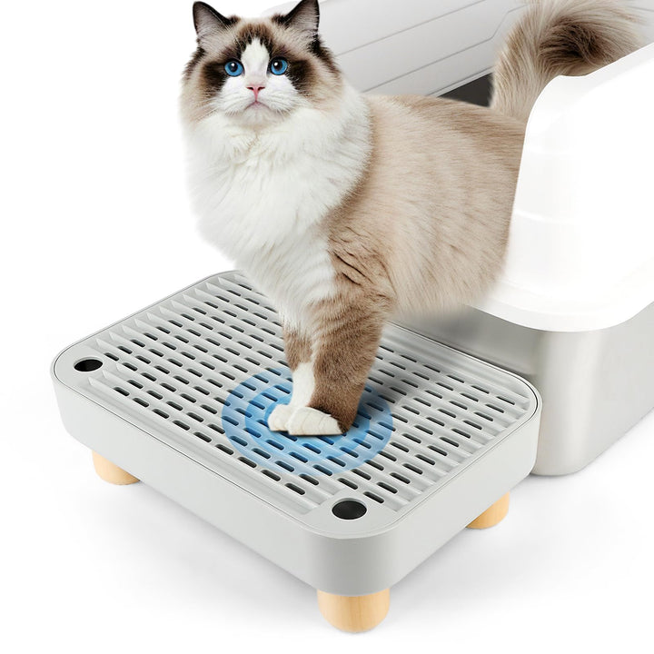 Katzenstreu Rampe, Katzentreppe/Katzentoilettenrampe/Katzenfänger Litter Trapper mit Filterfunktion,