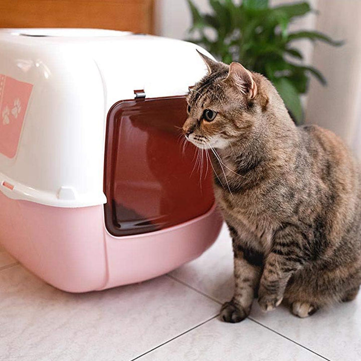Ferplast Katzentoilette mit Deckel, Katzenklo, mit Zwei Aktivkohlefiltern gegen schlechte Gerüche, S