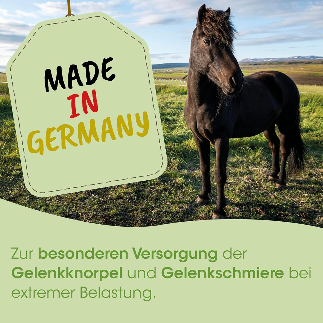 ArthroGreen Horse 2 kg | Natürlich gesunde Gelenke für Pferde, 2 kg