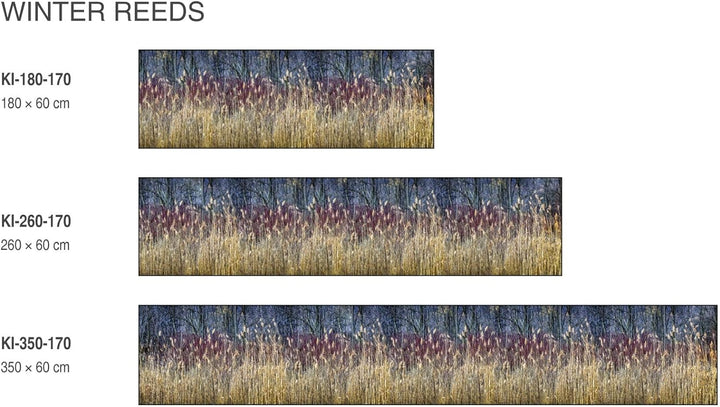 DIMEX Küchenrückwand Folie selbstklebend Winterschilf | Klebefolie - Dekofolie - Spritzschutz für Kü