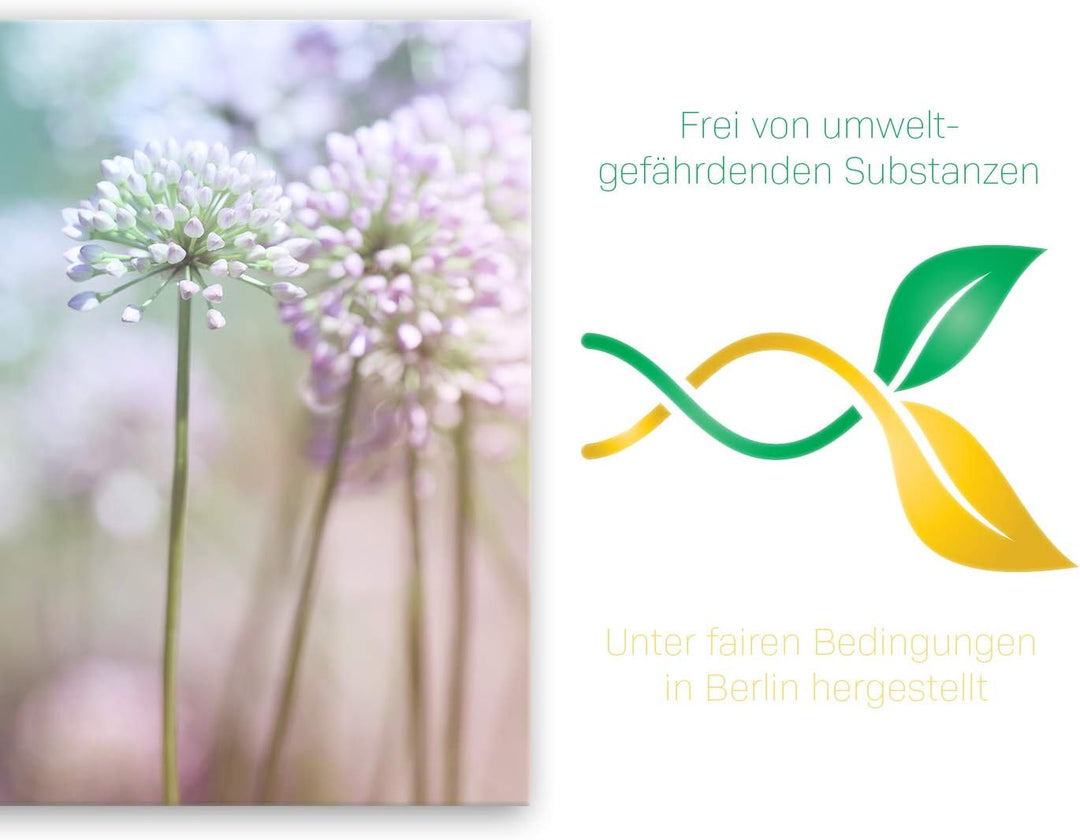 ge Bildet Bild auf Leinwand | Flowering Onion in 70x50 cm als Wandbild | Wand-deko Dekoration Wohnun