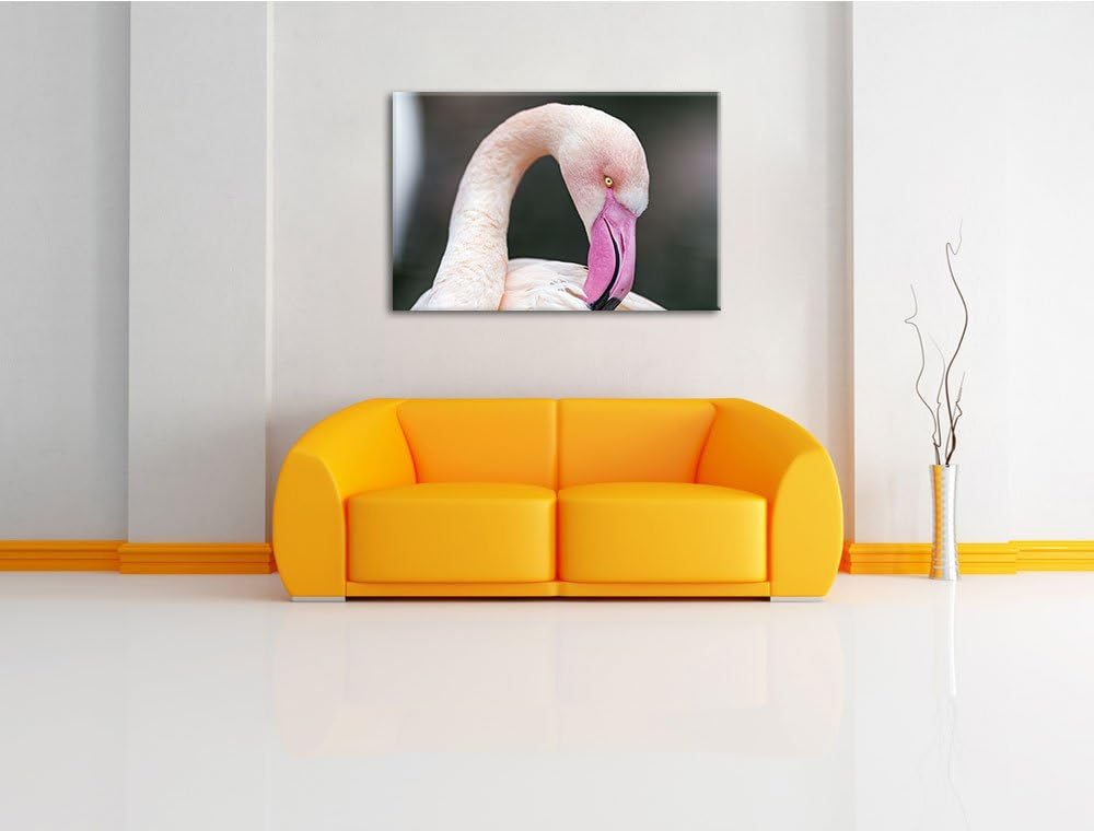 Pixxprint Flamingo beim Putzen auf Leinwand, XXL riesige Bilder fertig gerahmt mit Keilrahmen, Kunst