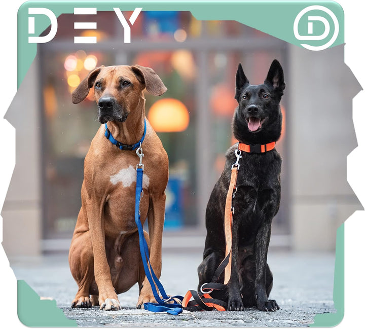 DEY - Premium Hundeleine Air Mesh 2m | 3fach Verstellbar | für Kleine, Mittelgrosse u. Grosse Hunde