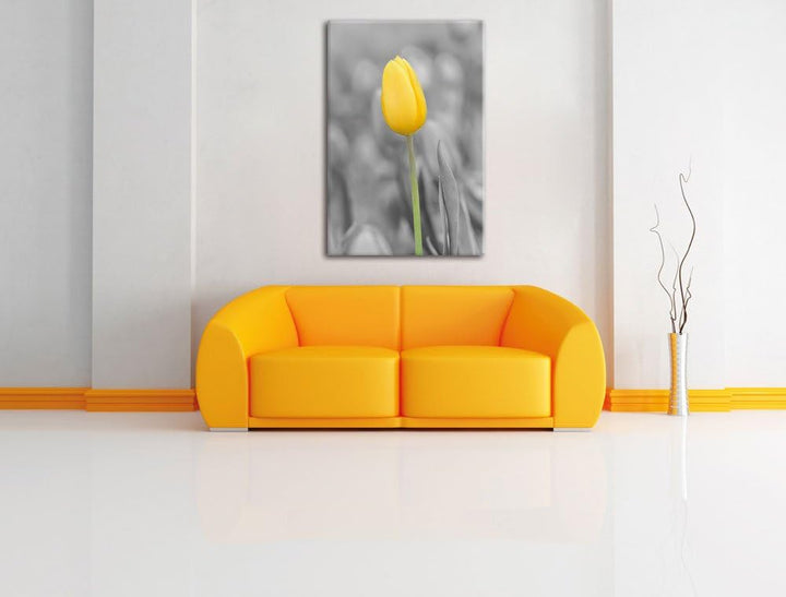 Pixxprint Gelbes Tulpenmeer schwarz/weiss als Leinwandbild/Grösse: 120x80 cm/Wandbild/Kunstdruck/fer
