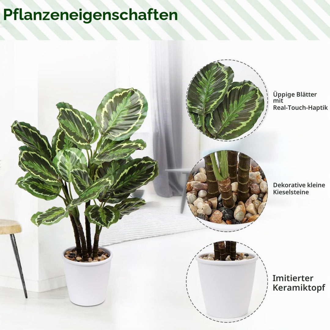 Briful 63CM Künstliche Calathea Medaillon Kunstpflanze Dekopflanze Tropische Zimmerpflanzen im Topf