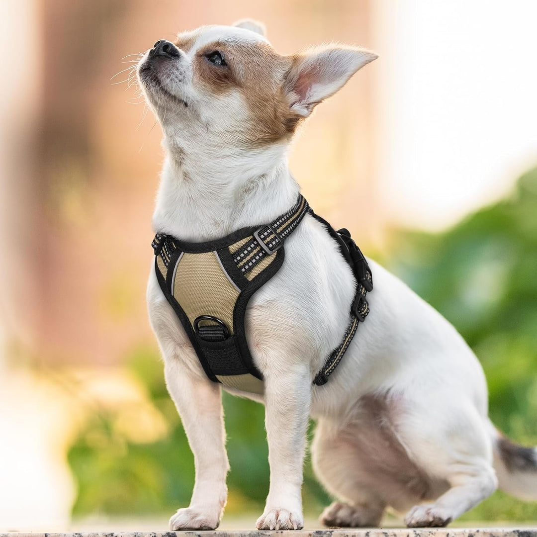 rabbitgoo Hundegeschirr Kleine Hunde, Anti Zug Geschirr mit Kontrolle, No Pull Verstellbar Hundegesc