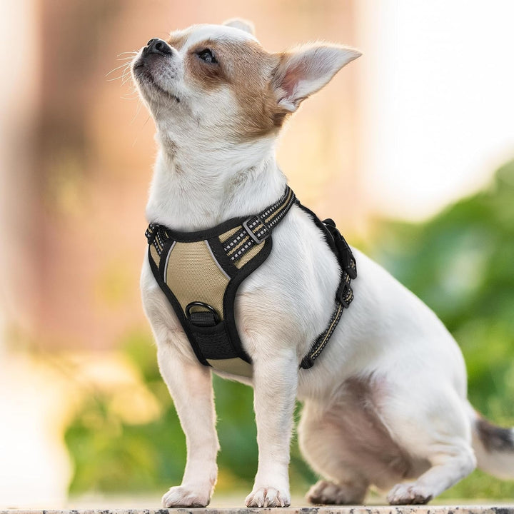 rabbitgoo Hundegeschirr Kleine Hunde, Anti Zug Geschirr mit Kontrolle, No Pull Verstellbar Hundegesc