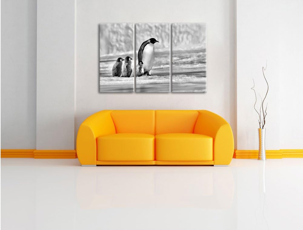 Pixxprint Kaiserpinguine im Schnee als Leinwandbild/Grösse: 3 Teilig (120x80) cm/Wandbild/Kunstdruck